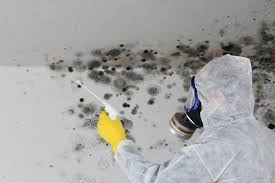 Best Emergency Mold Remediation  in Sedalia, MO